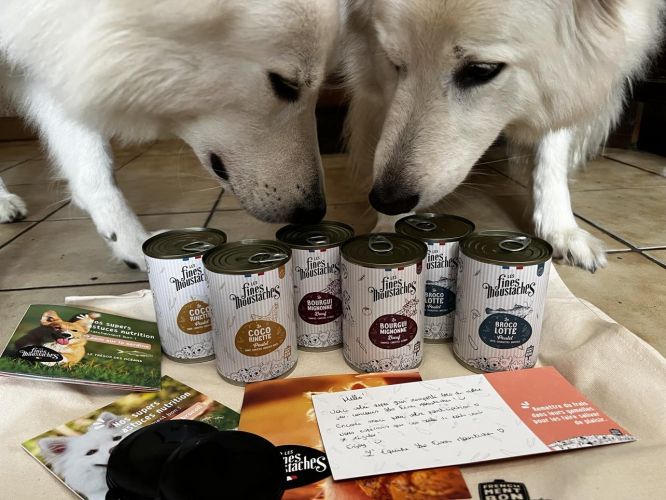 Optimisez la Nutrition de Votre Berger Blanc Suisse avec Wolfood/Les Fines Moustaches