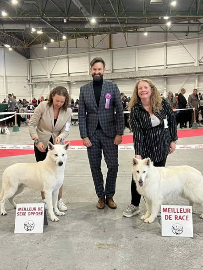 Spéciale de race ~ CACIB Metz ~ 08 Novembre 2025 🔅